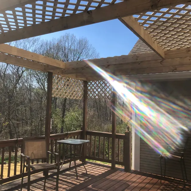 Deck with a lattice pergola overlooking the woods